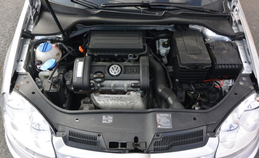 Volkswagen Golf 1.4i16v 165tis km 59kW