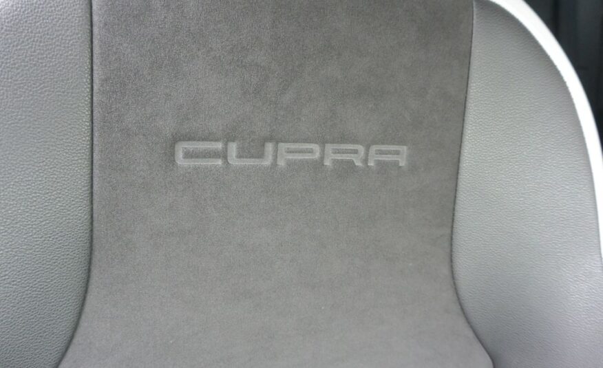 Seat Leon  206kW