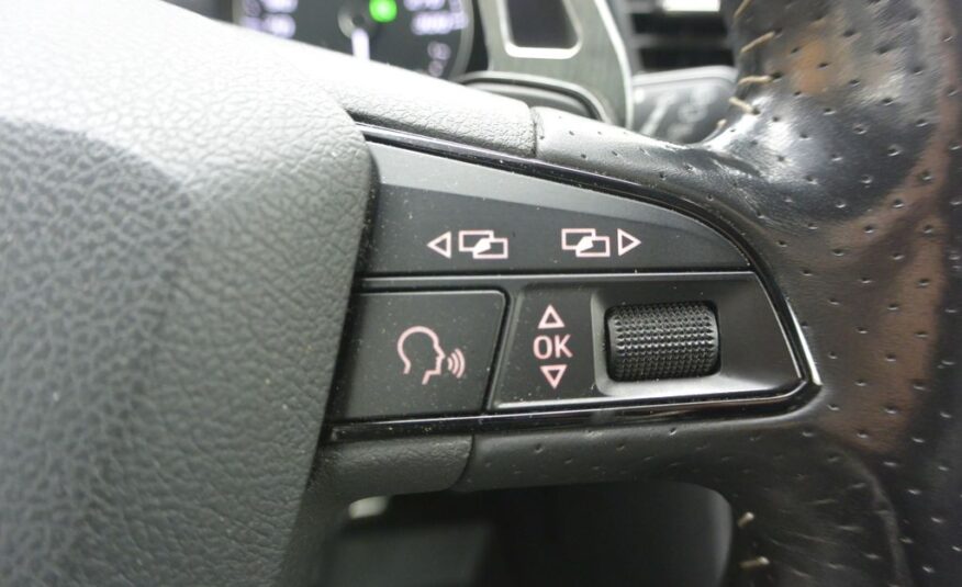 Seat Leon  206kW