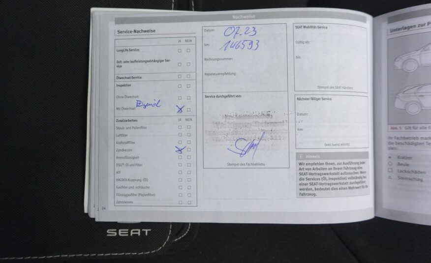 Seat Leon  206kW