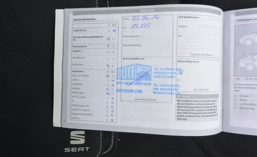 Seat Leon  206kW